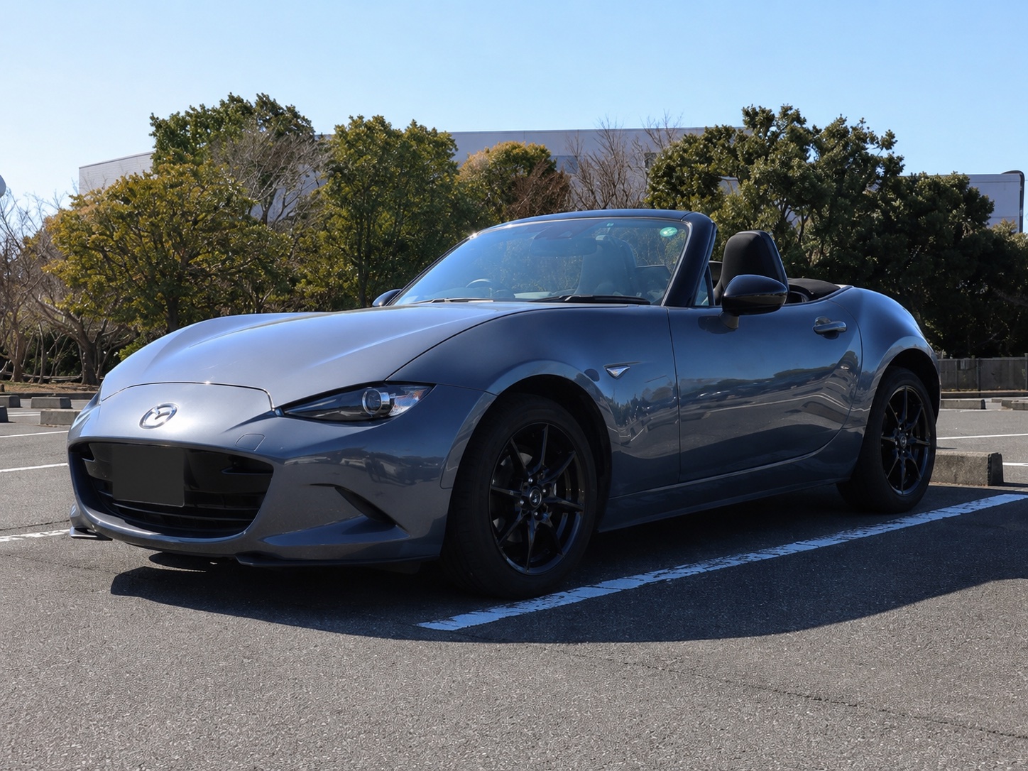 Evening Convertible Tour