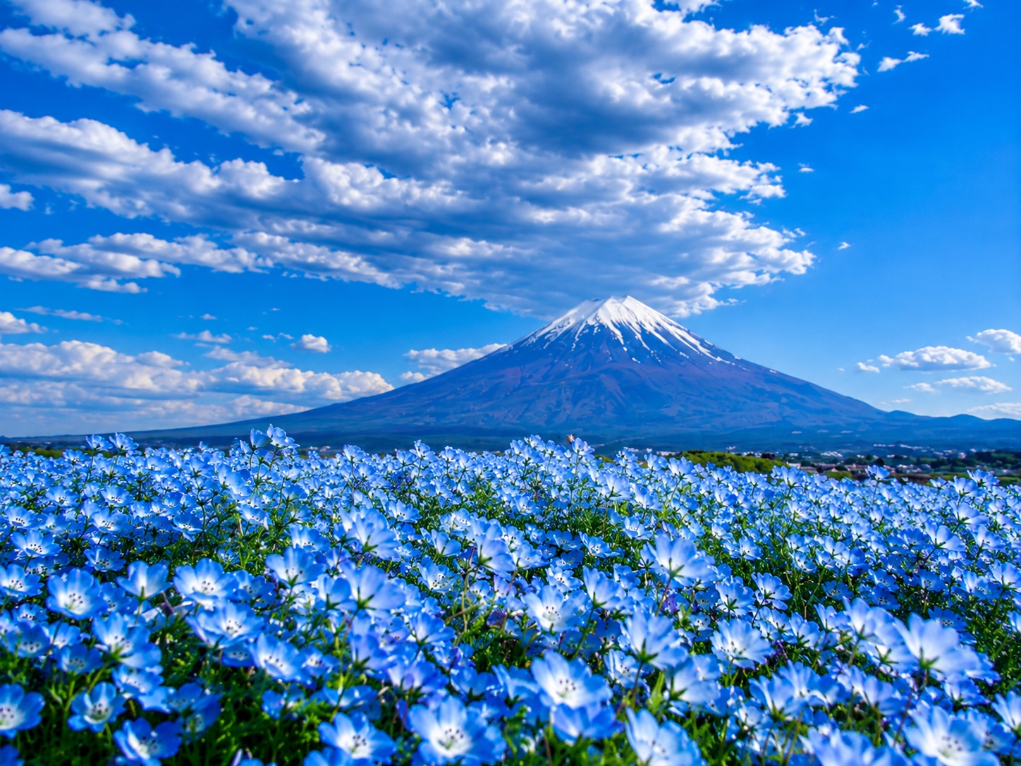 Luxury & VIP Japan Experiences — фото 8